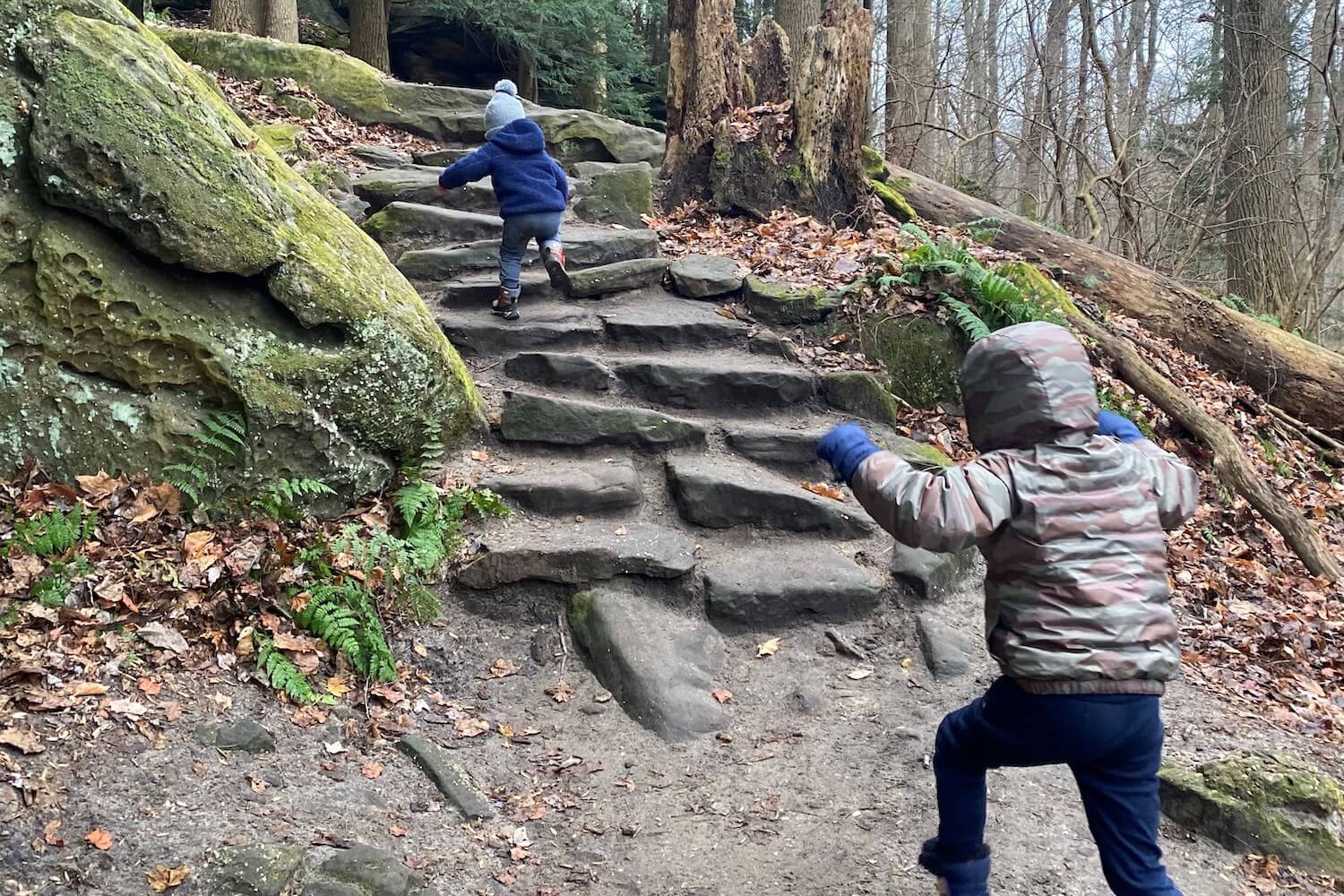 Lessons from 234,000 Steps